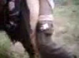 Дружбан снимает своего дружка который трахает в лесу азербайджанку